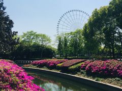 -蠡湖大桥公园