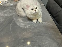 -联合动物医院(光谷诊疗中心)