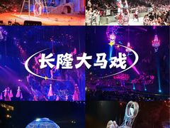 -广州长隆国际大马戏