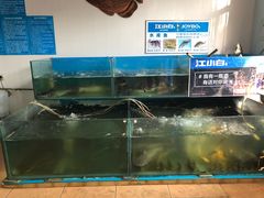 水产区-大鹅岛灶台鱼·铁锅炖(水库路店)