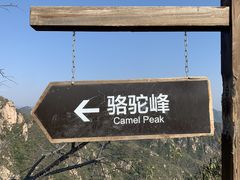 -大岭沟猕猴桃谷风景区