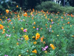 -杭州城北体育公园