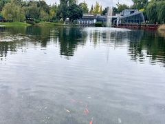 -成飞公园