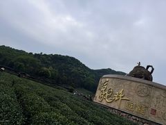 -龙坞茶村
