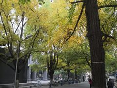 -四川大学(华西校区)