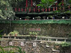 -广州市白云山风景名胜区