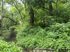 -福建师范大学(仓山校区)