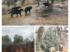 -杭州野生动物世界