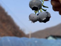-大连步云山老汤度假山庄