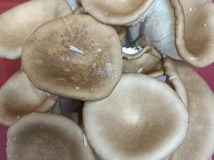 -畲乡一品鱼府土菜馆