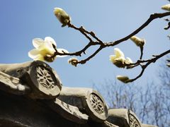 -三里河公园