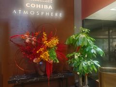 -Cohiba Atmosphere高希霸魅力俱乐部(国贸店)