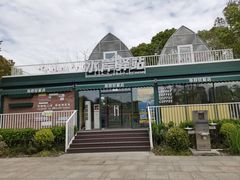 -新江湾城公园