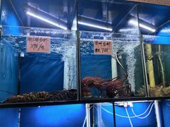 -华峰食馆(氹仔店)