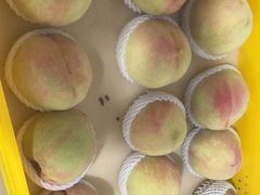 -老袁家蜜桃农场·阳山水蜜桃