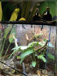 -酷嗒动物文化乐园(cutezoo西溪乐天城店)