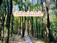 -火炉山森林公园
