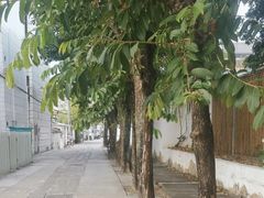 -三溪村