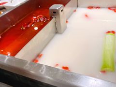 -皇城老妈·大连海鲜火锅(港湾店)