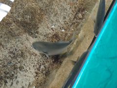 -鸿通城购物中心