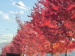 -九鼎铁刹山风景区