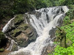 -莫里热带雨林景区