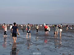 -南汇嘴观海公园