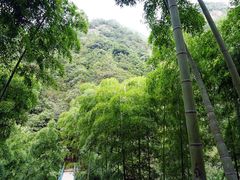 -众神白水涧景区