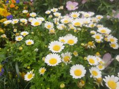 -霸道川面馆(张江店)