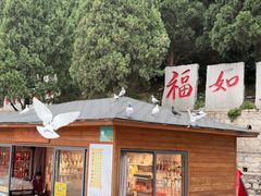 -龙口南山旅游景区