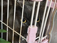 -花里花店(唐镇阳光天地店)