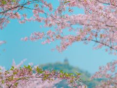 -上海辰山植物园