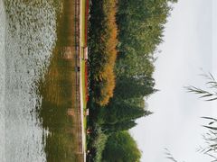 -团结湖公园