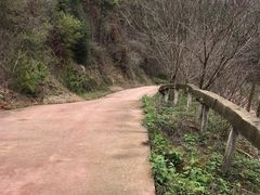 -木兰云雾山