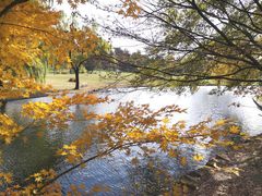 -上海共青森林公园