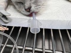 -爱诺耐芙动物医院(万博店)