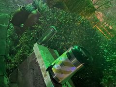 -大连金石滩绿发温泉假日酒店