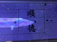 -顺德南宏海立方海洋公园