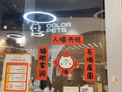 -COLOR PETS 撸猫馆·购猫·猫咖(长风大悦城店)