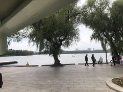 -长春市南湖公园