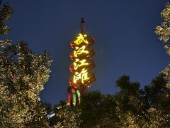 -武汉知音号