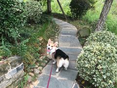 -武汉紫薇都市田园