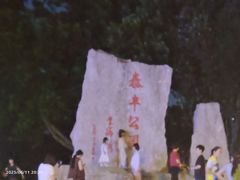 -泰丰公园