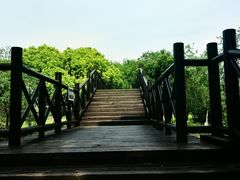 -长兴太湖图影湿地文化园