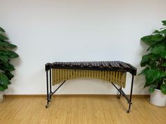 -音歆国艺馆·民乐培训(双榆树店)