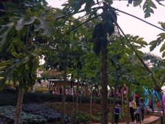-天河儿童公园