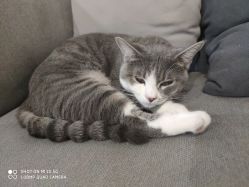 点击看大图 -In Beauty印诺时尚美发沙龙