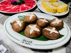 -禄婶鸡煲·打边炉