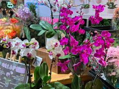 -盒马鲜生(首义店)