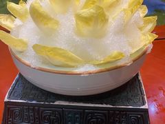 出水芙蓉菊苣-宋宴(虎跑店)